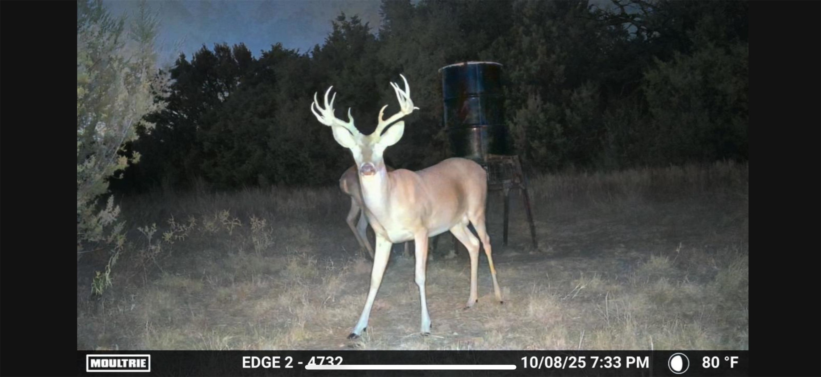 5106 Fm 51 Glen Rose TX 76043