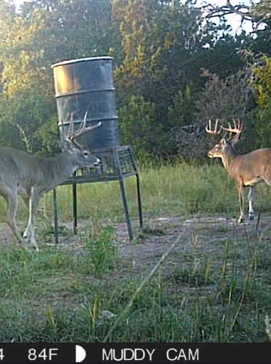 5106 Fm 51 Glen Rose TX 76043
