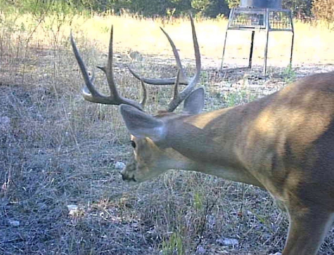 5106 Fm 51 Glen Rose TX 76043