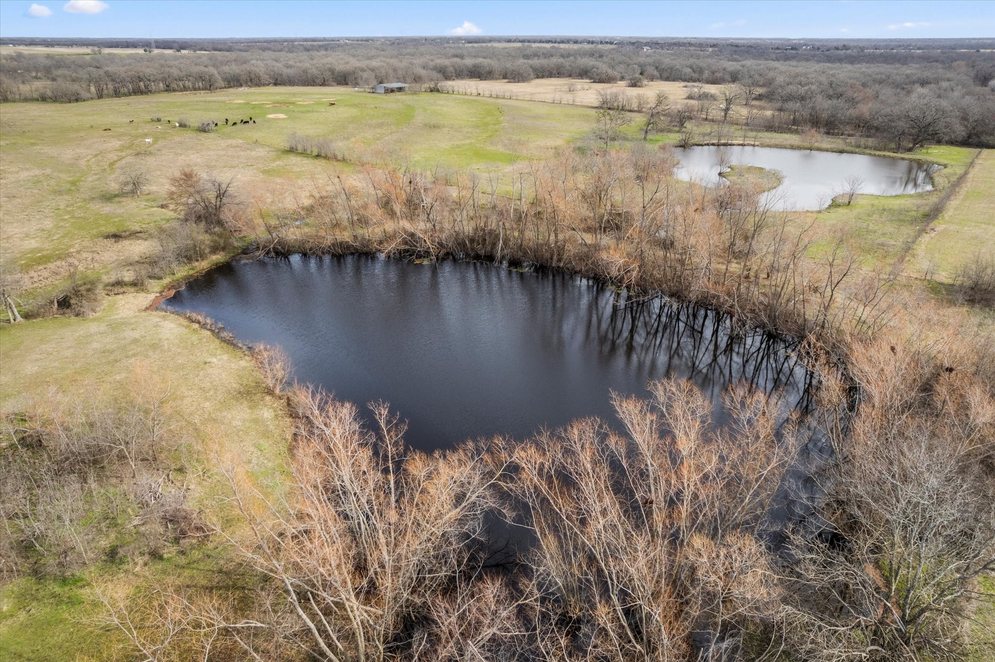 3366 County Road 4762 Sulphur Springs TX 75482