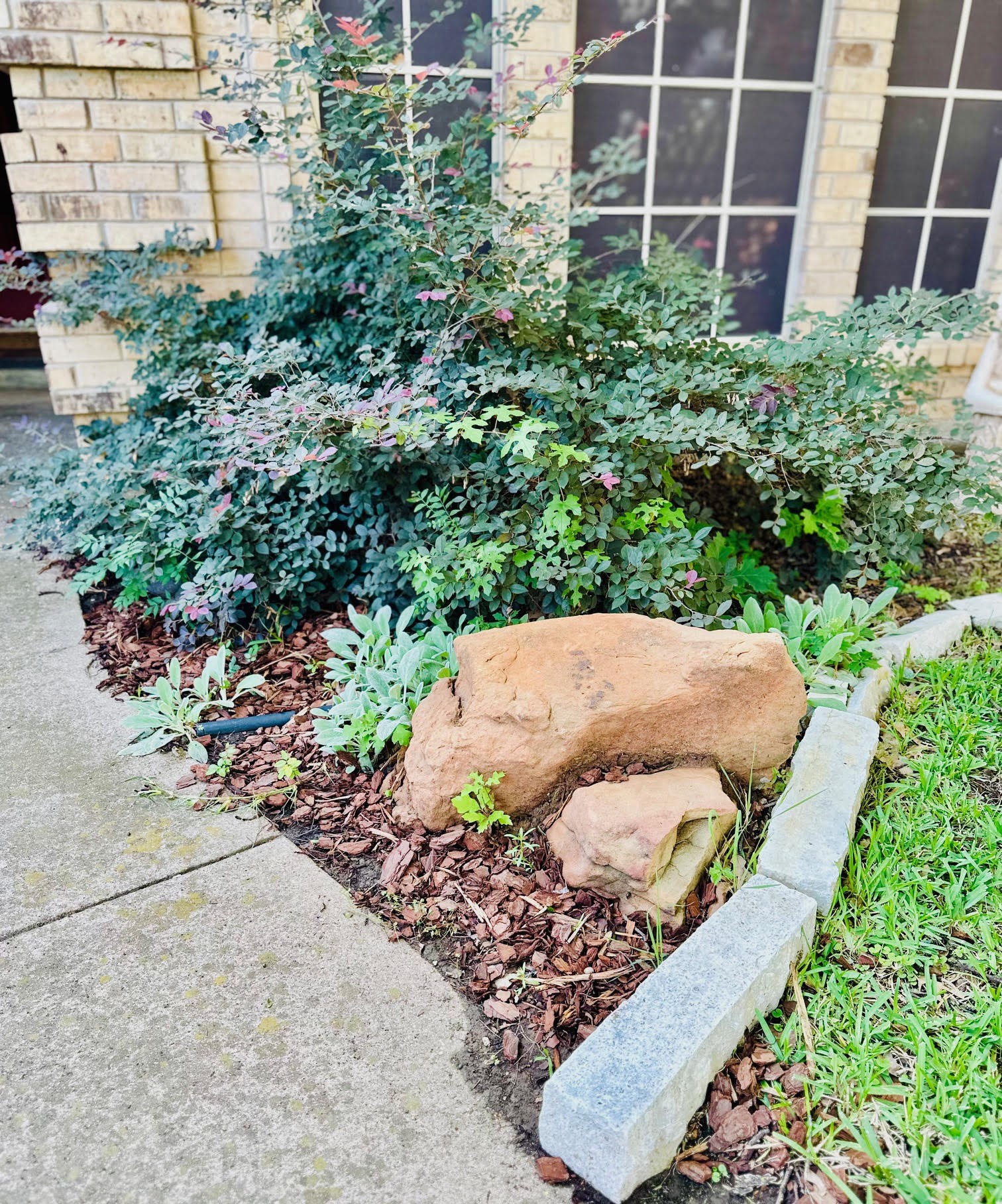 821 Red Oak Drive Mansfield TX 76063