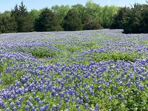 821 Ewing Road Ferris TX 75125
