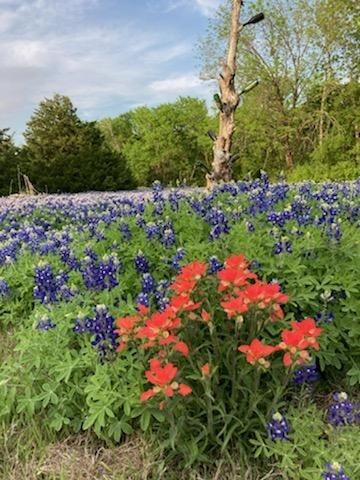 821 Ewing Road Ferris TX 75125