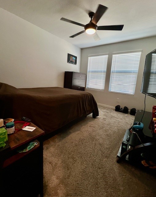 2115 Silver Charm Lane Forney TX 75126