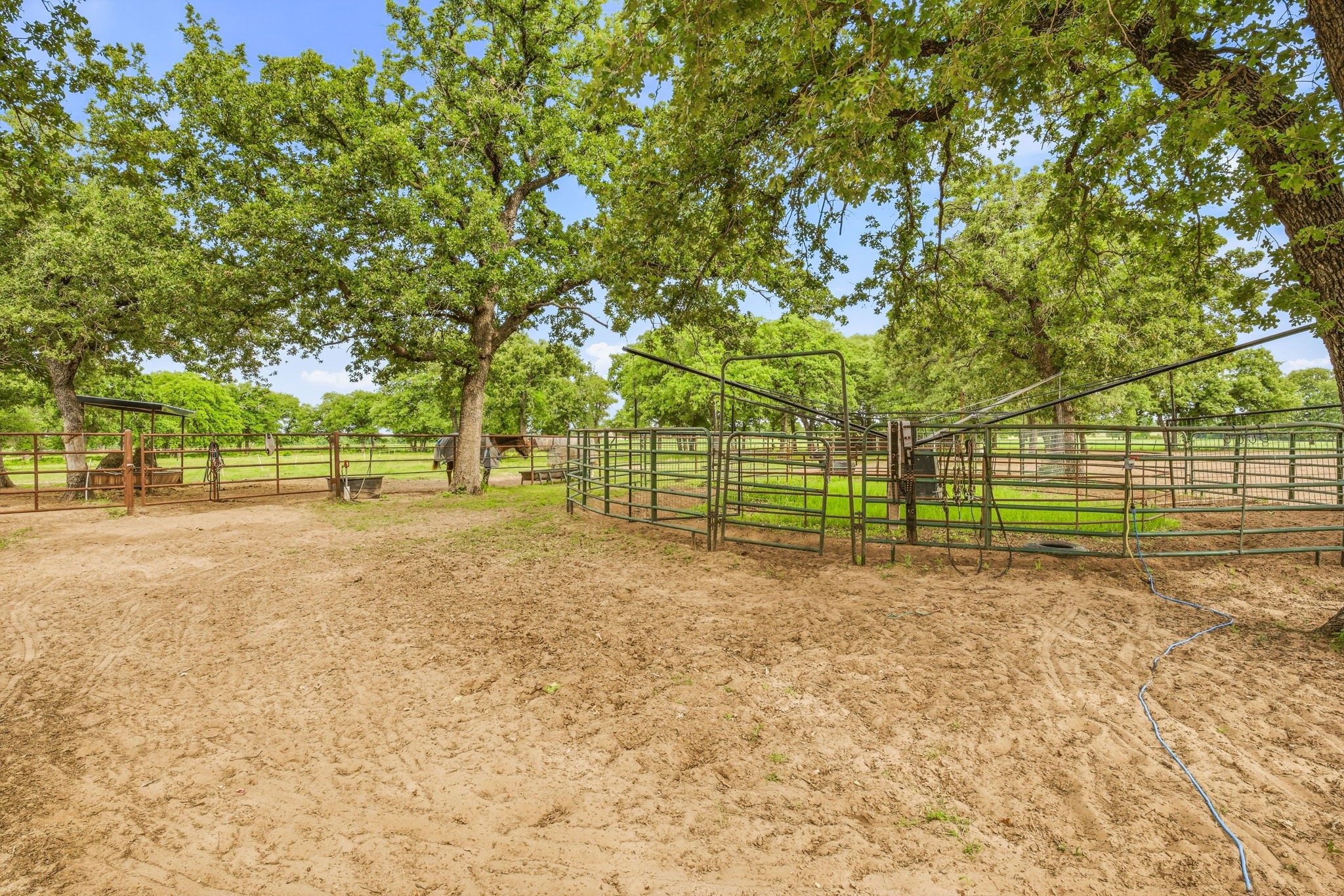 6363 E Fm 1188 Bluff Dale TX 76433