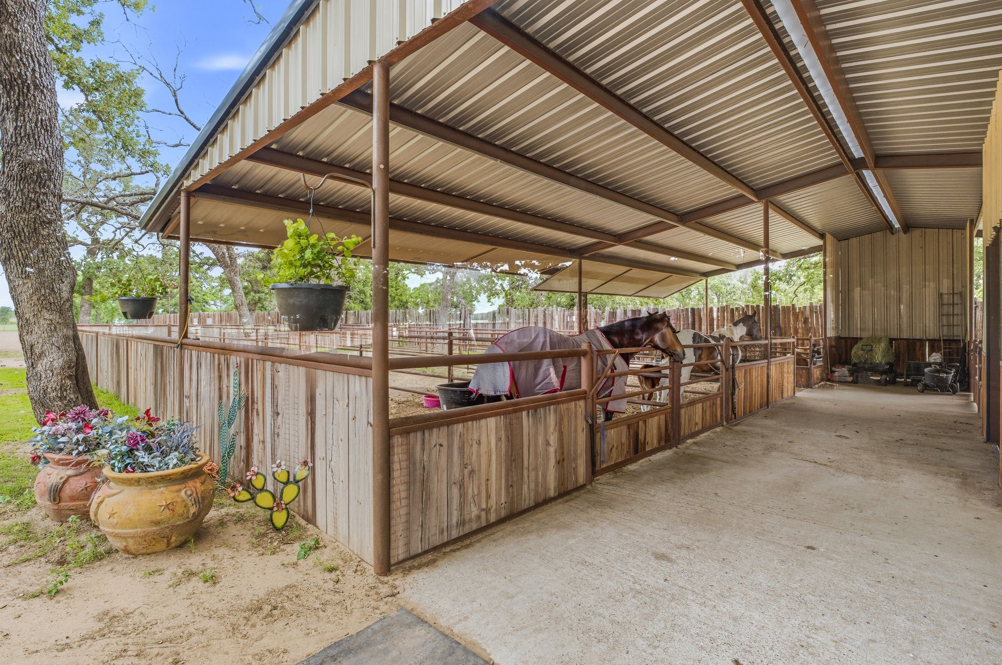 6363 E Fm 1188 Bluff Dale TX 76433