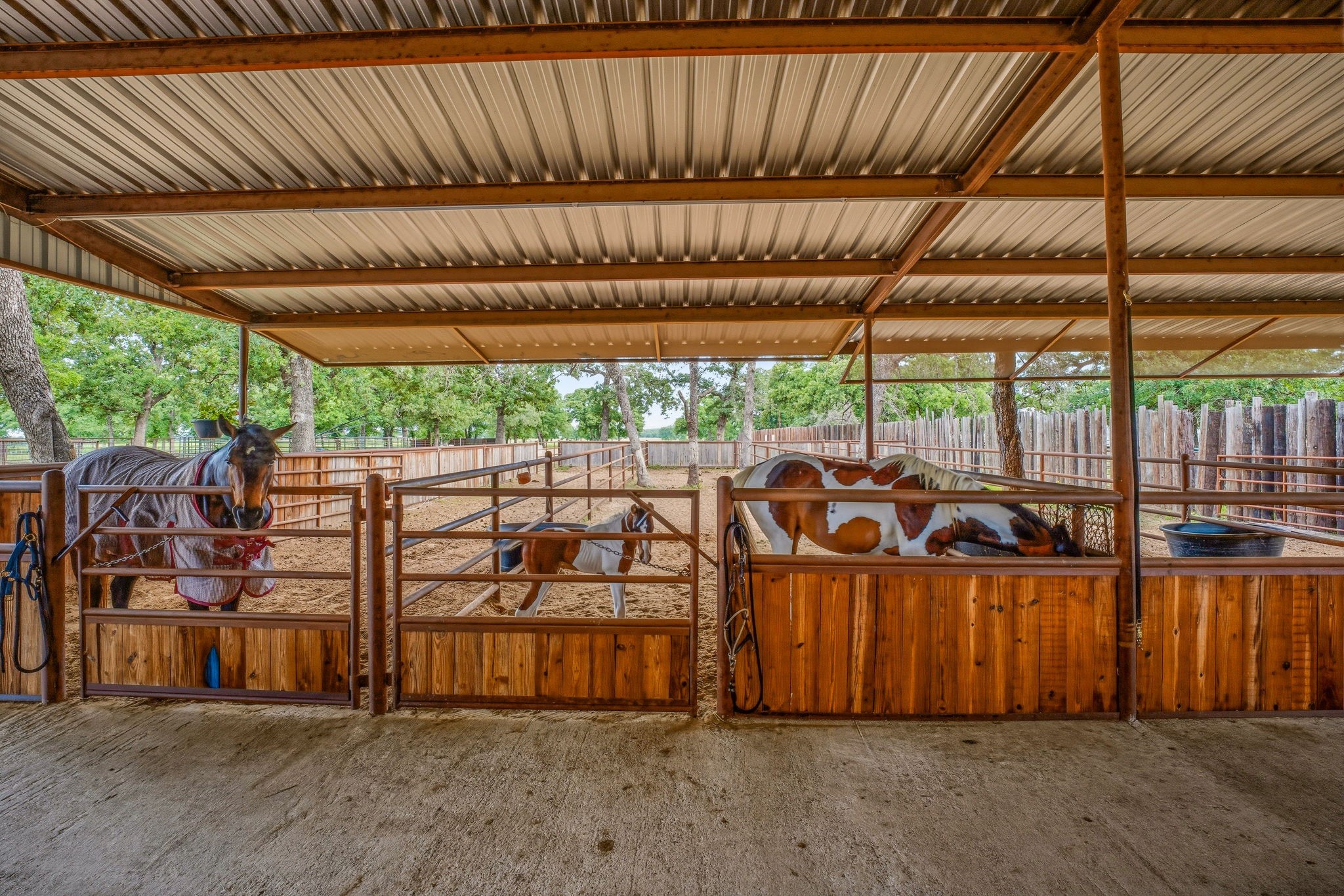 6363 E Fm 1188 Bluff Dale TX 76433