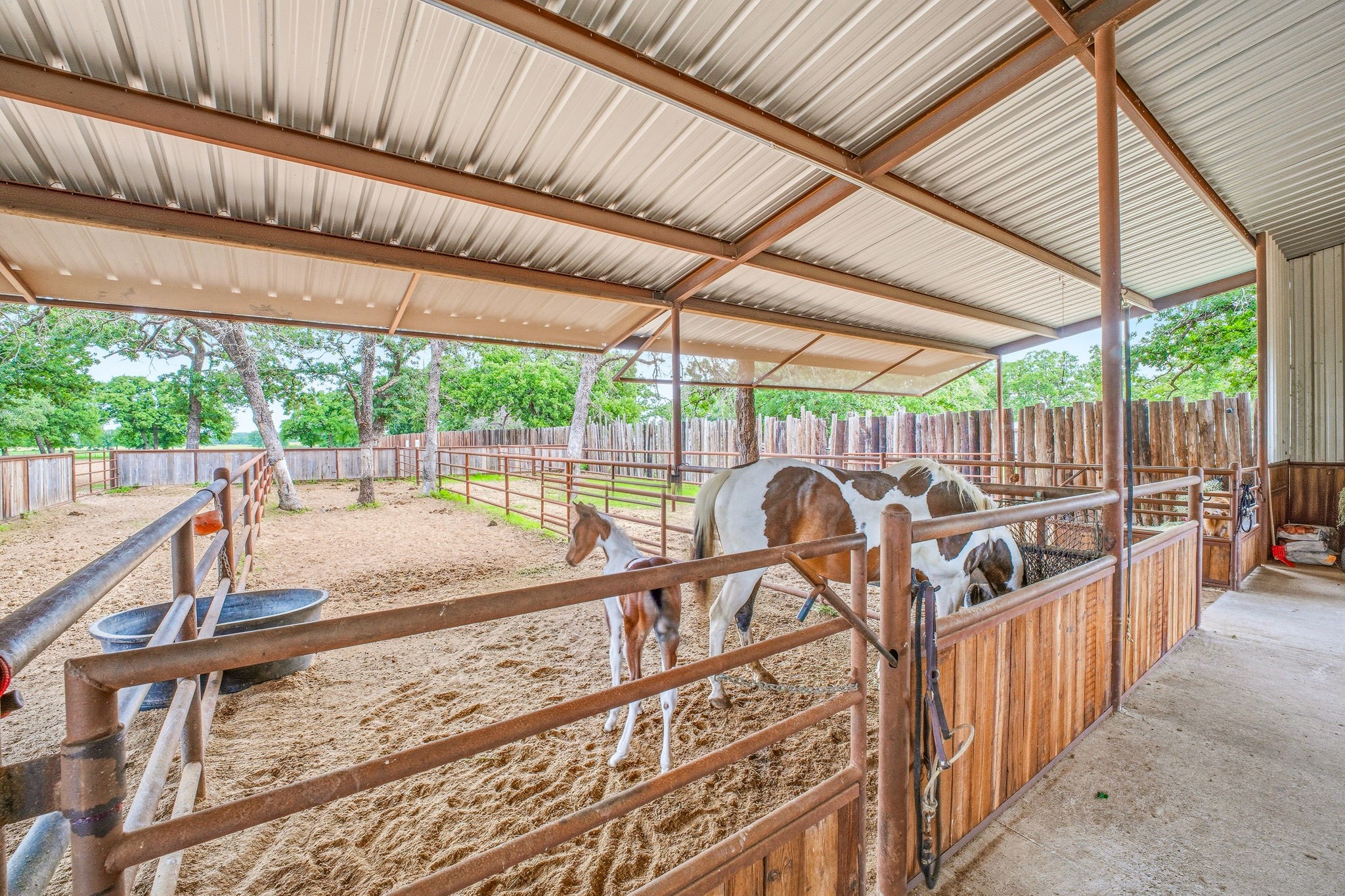 6363 E Fm 1188 Bluff Dale TX 76433