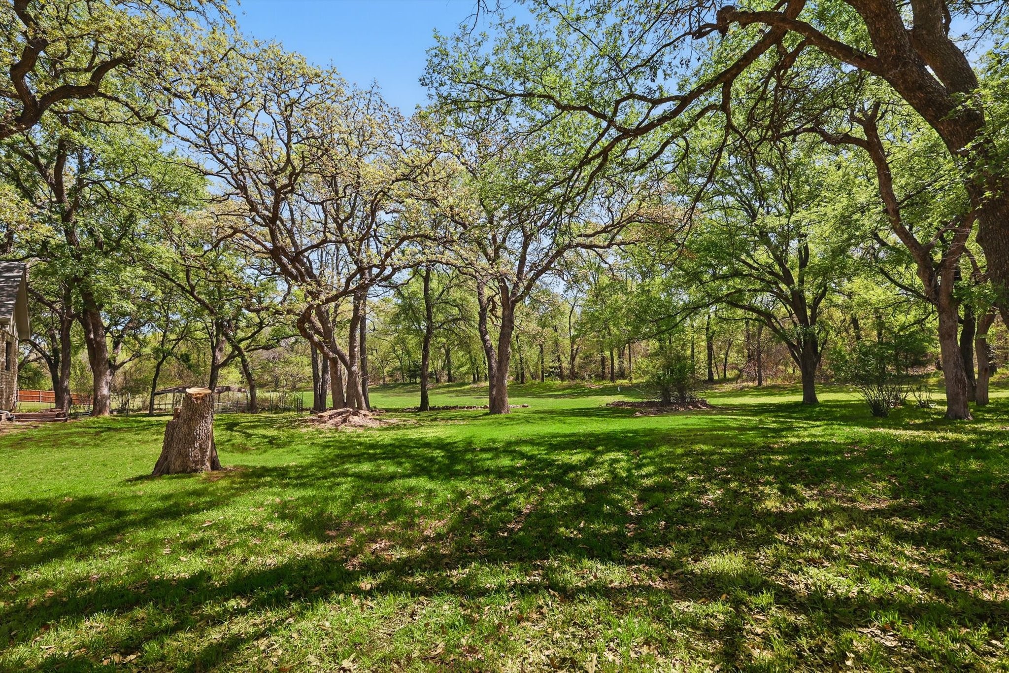 1904 Oak Ridge Trail Bridgeport TX 76426
