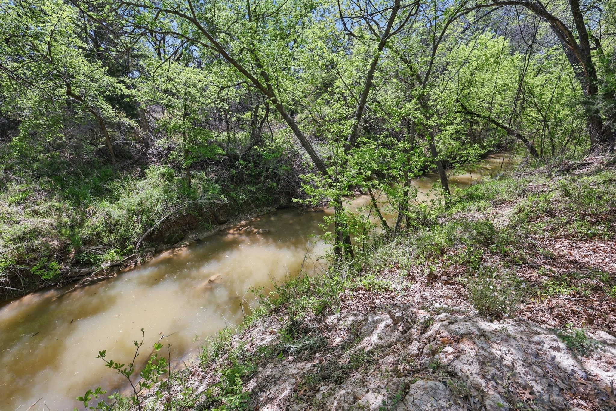 1904 Oak Ridge Trail Bridgeport TX 76426