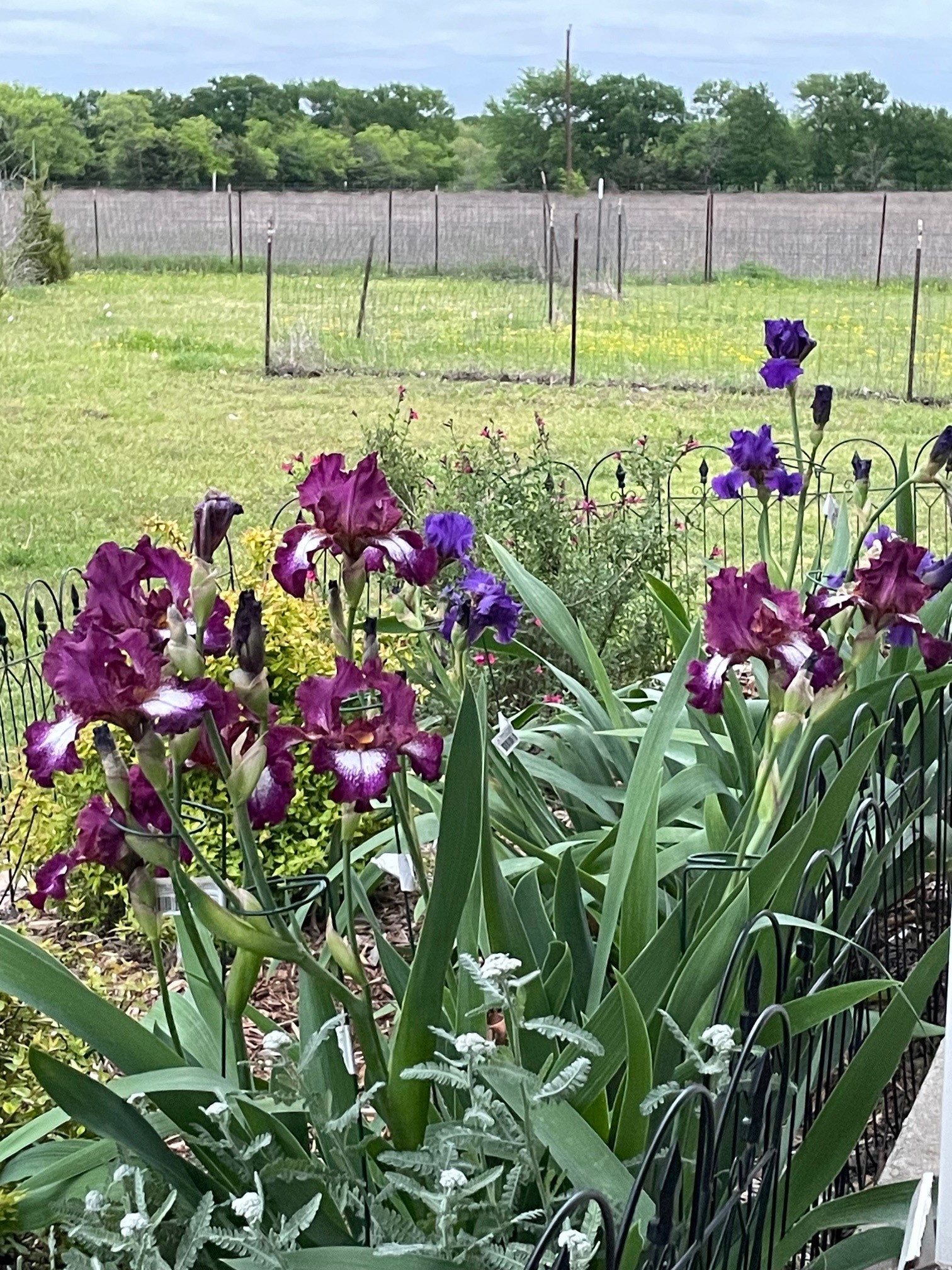 7844 County Road 502 Blue Ridge TX 75424