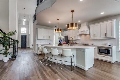 1720 Frisco Hills Boulevard Little Elm TX 75068