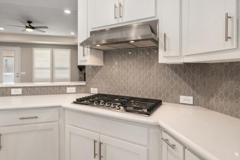 1116 Cornerstone Drive Little Elm TX 76227