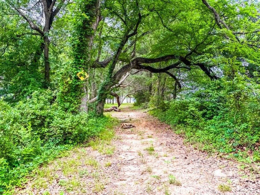 Tbd County Road 891 Jewett TX 75846