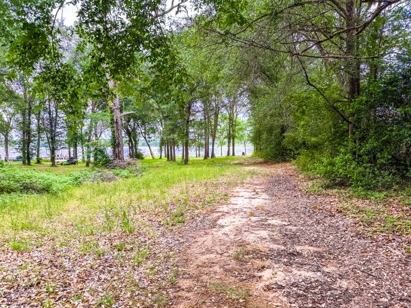 Tbd County Road 891 Jewett TX 75846