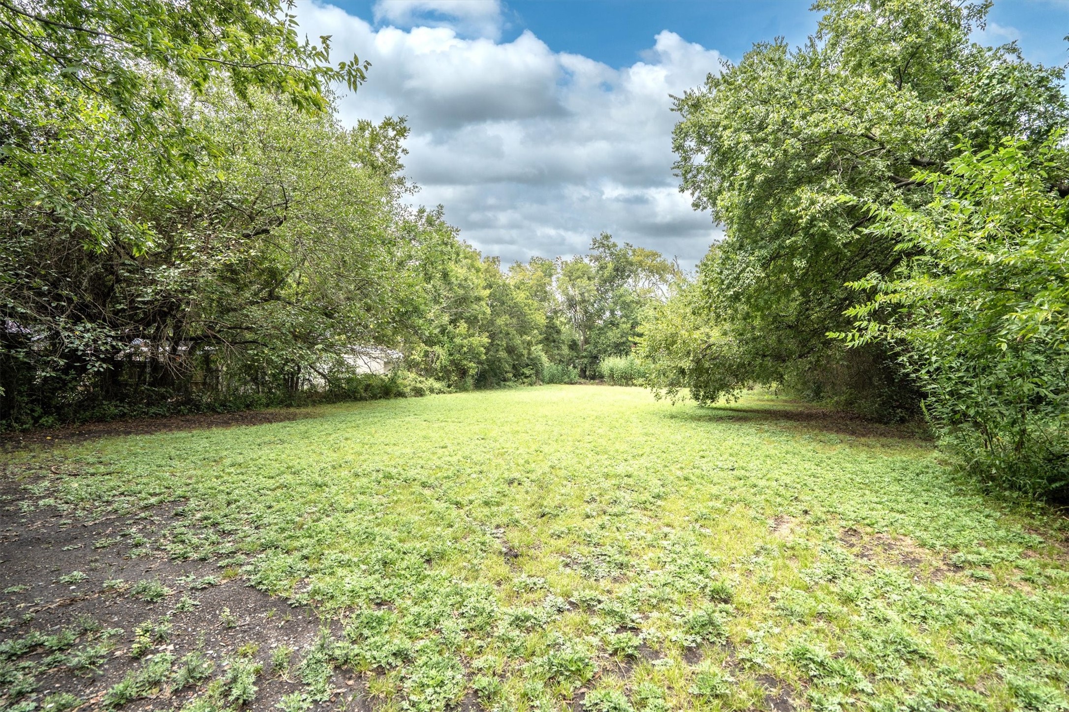 305 Hill Street Farmersville TX 75442