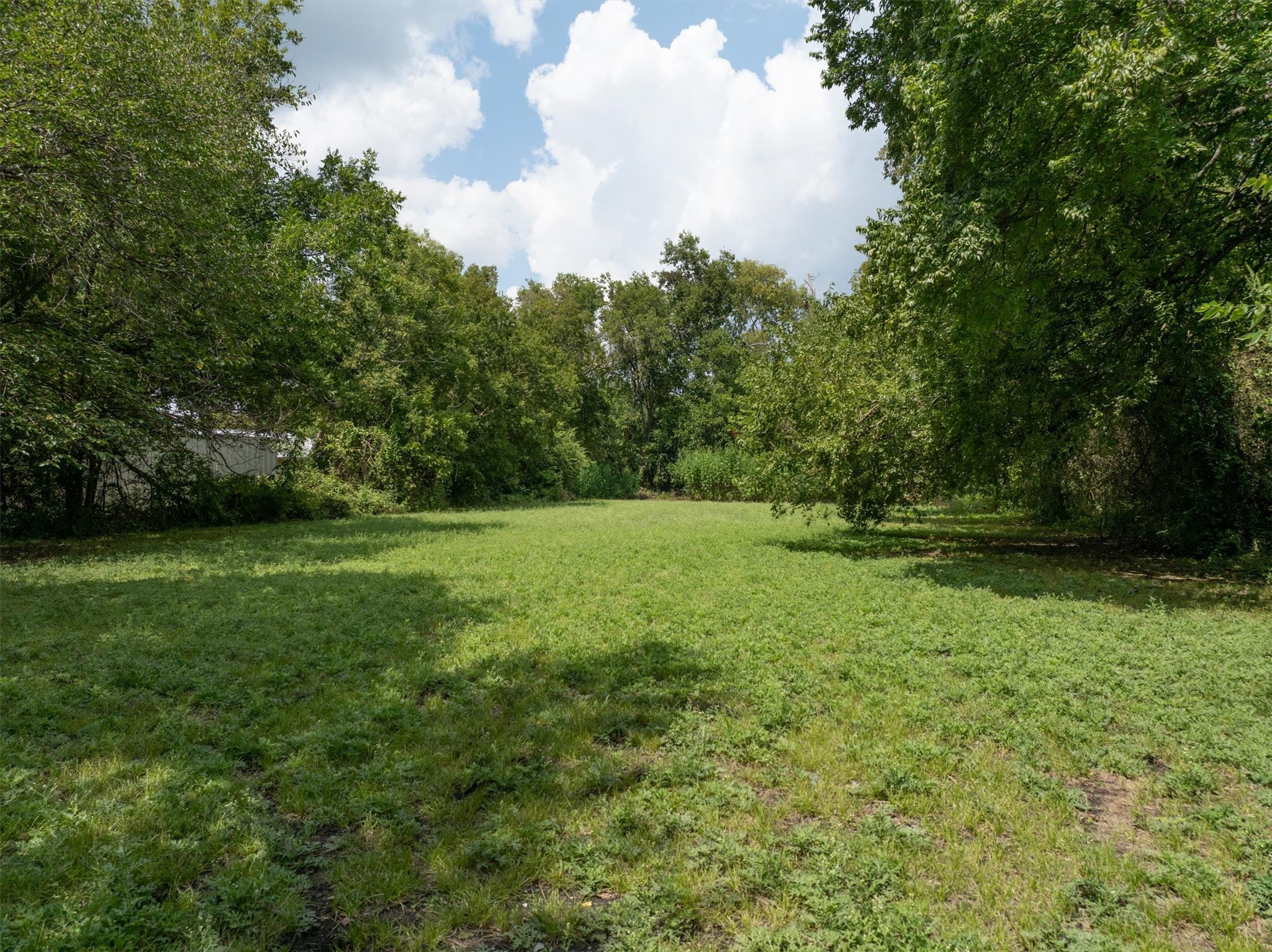 305 Hill Street Farmersville TX 75442