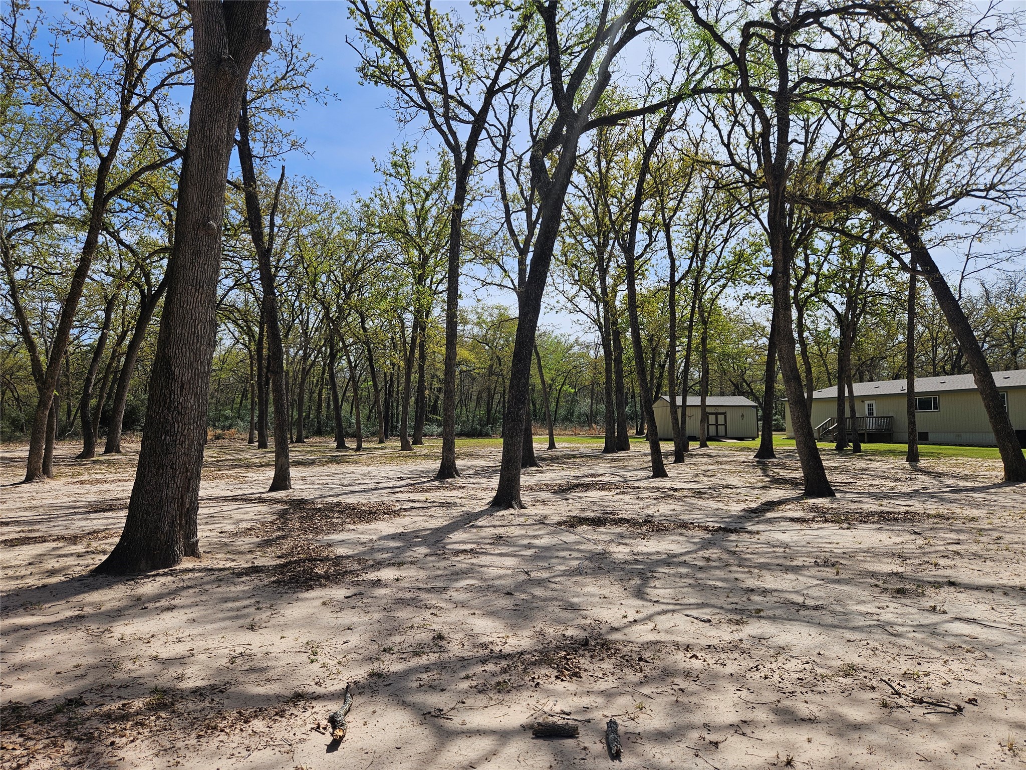 4086 Lcr 750 Thornton TX 76642