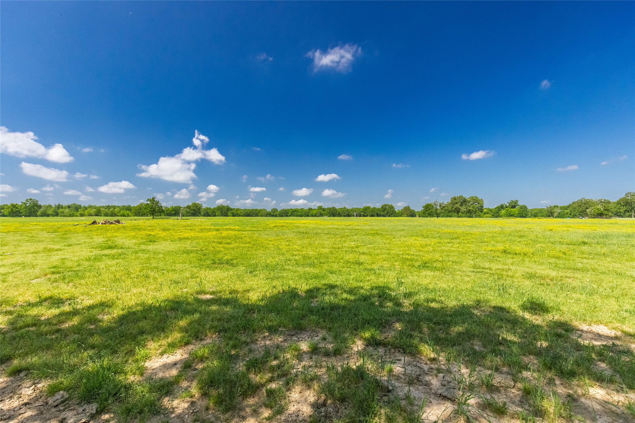 300 County Road 3636 Road Dike TX 75437