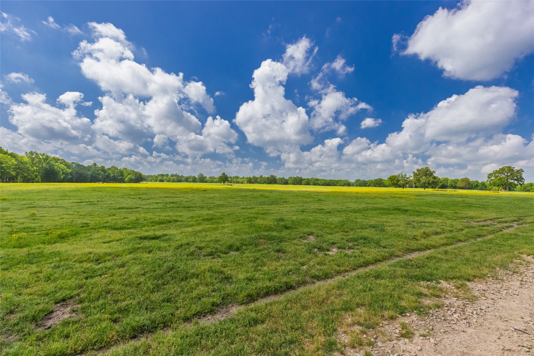 300 County Road 3636 Road Dike TX 75437