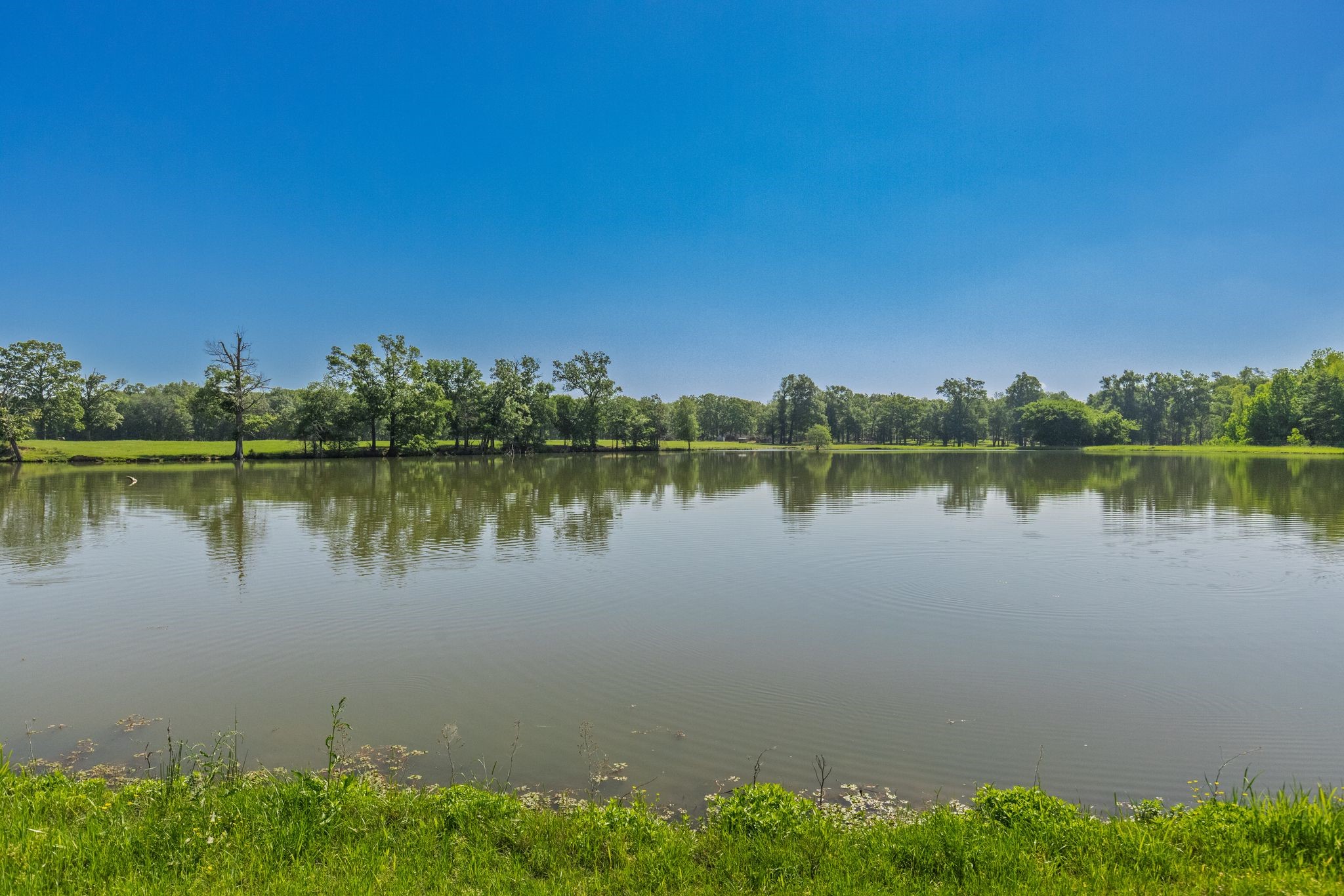 300 County Road 3636 Road Dike TX 75437