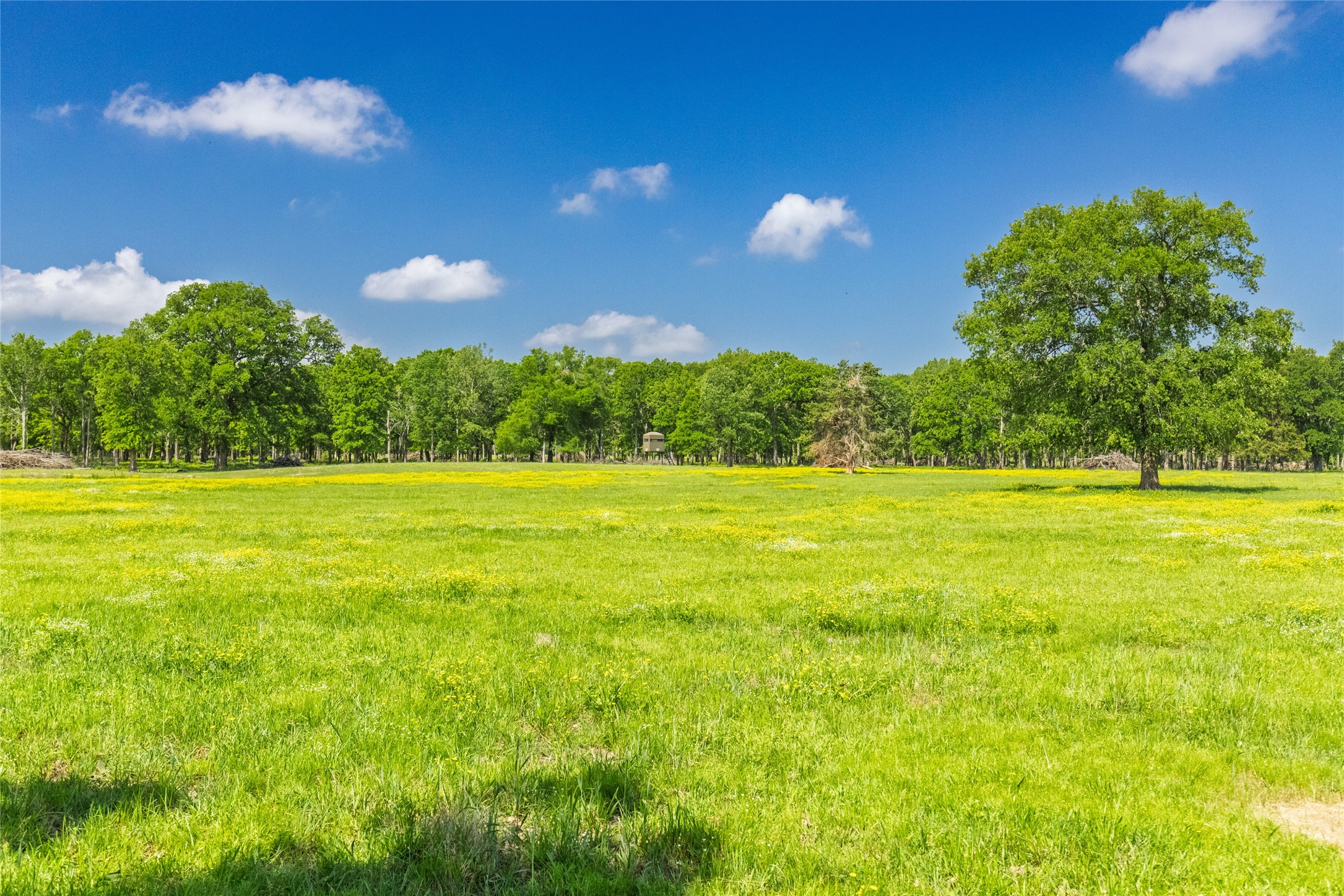 300 County Road 3636 Road Dike TX 75437