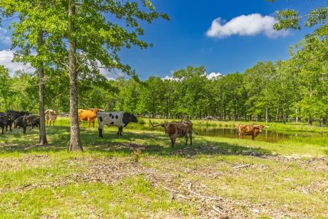 300 County Road 3636 Road Dike TX 75437
