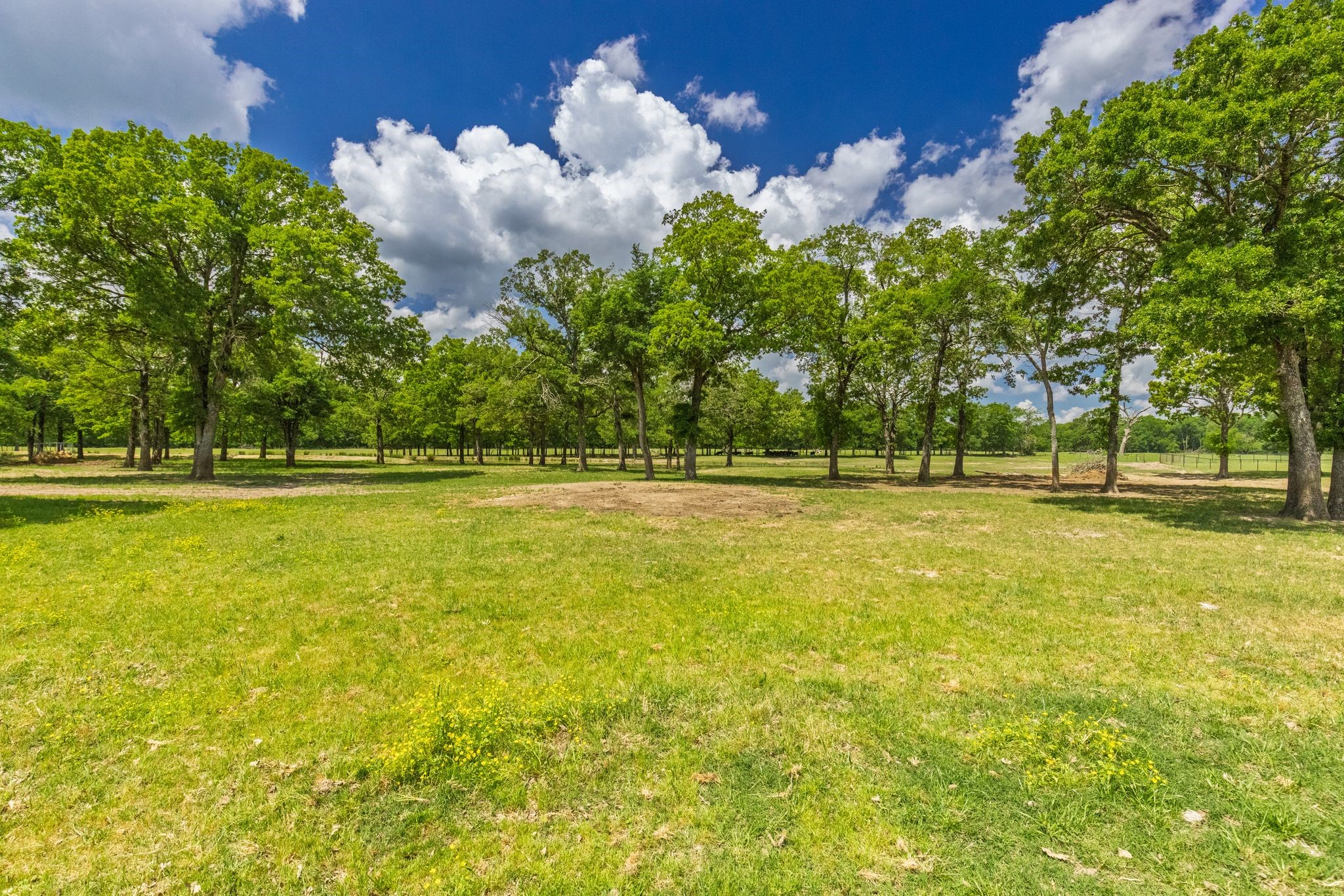 300 County Road 3636 Road Dike TX 75437