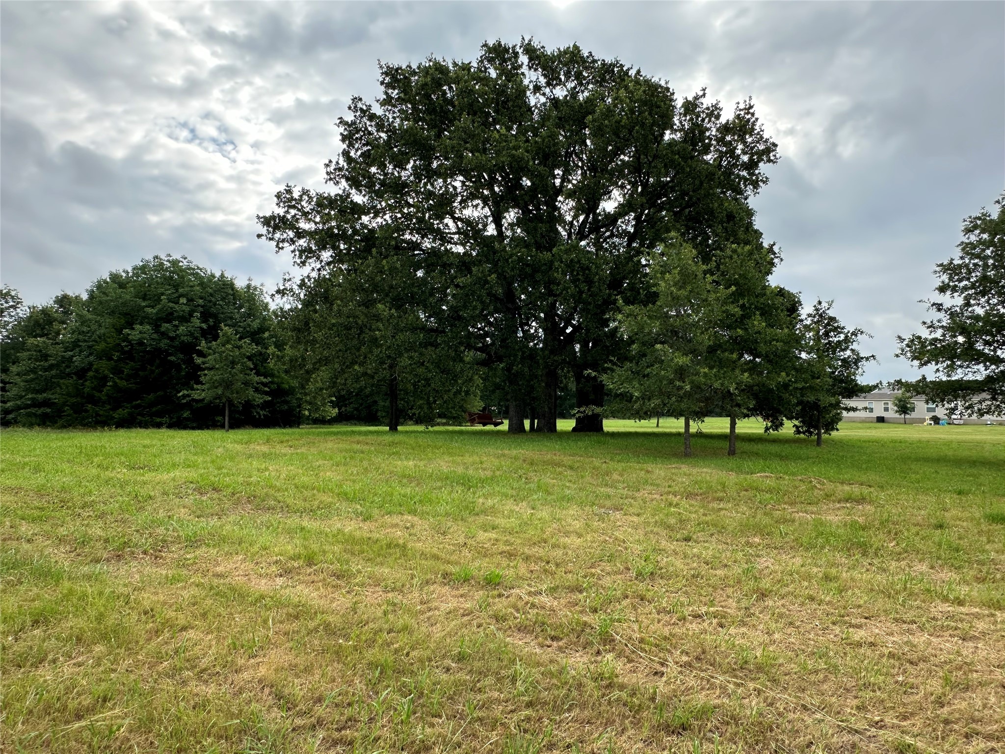 3086 County Road 4106 Greenville TX 75401