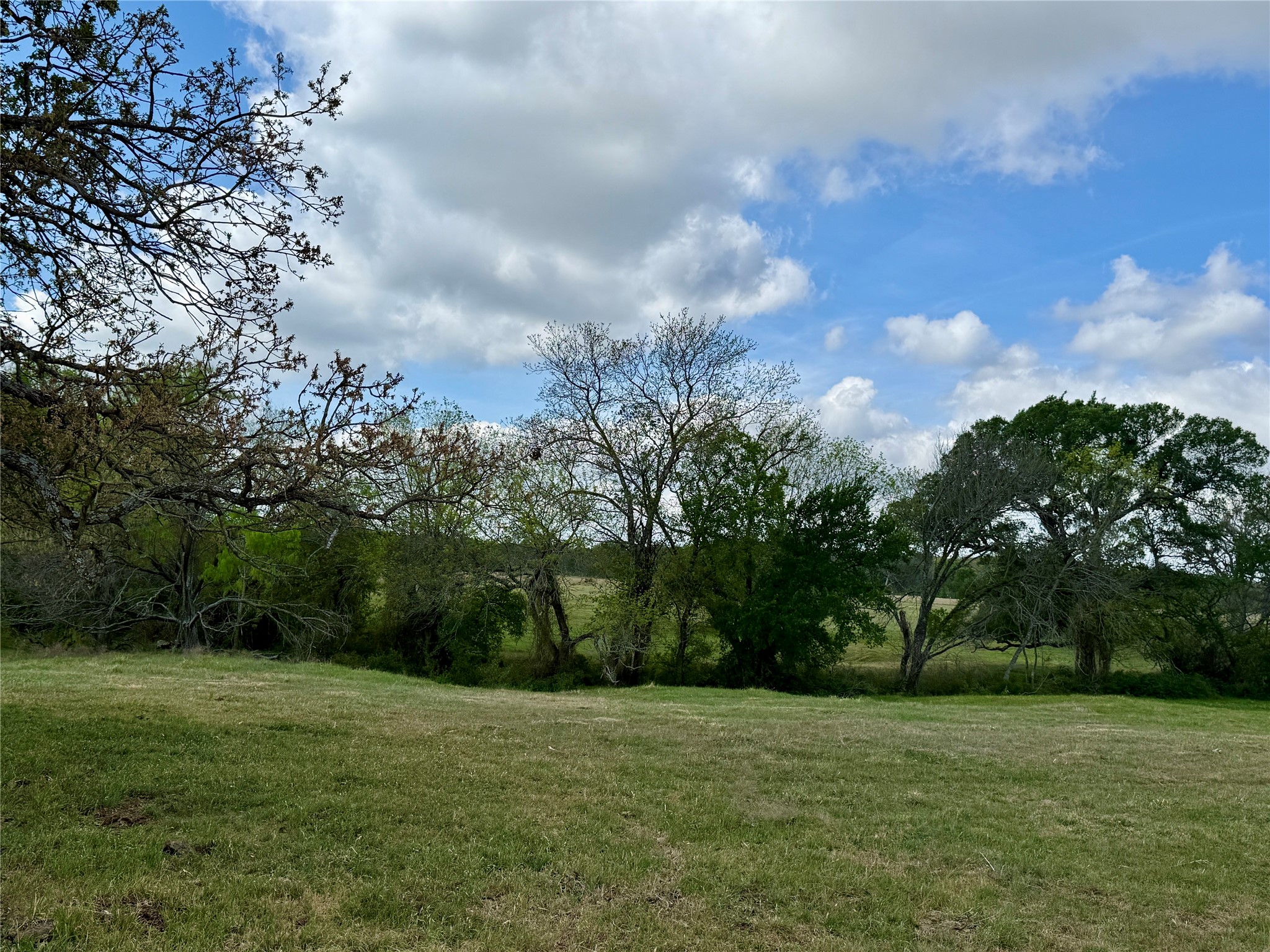 12335A County Road 4230 Purdon TX 76679