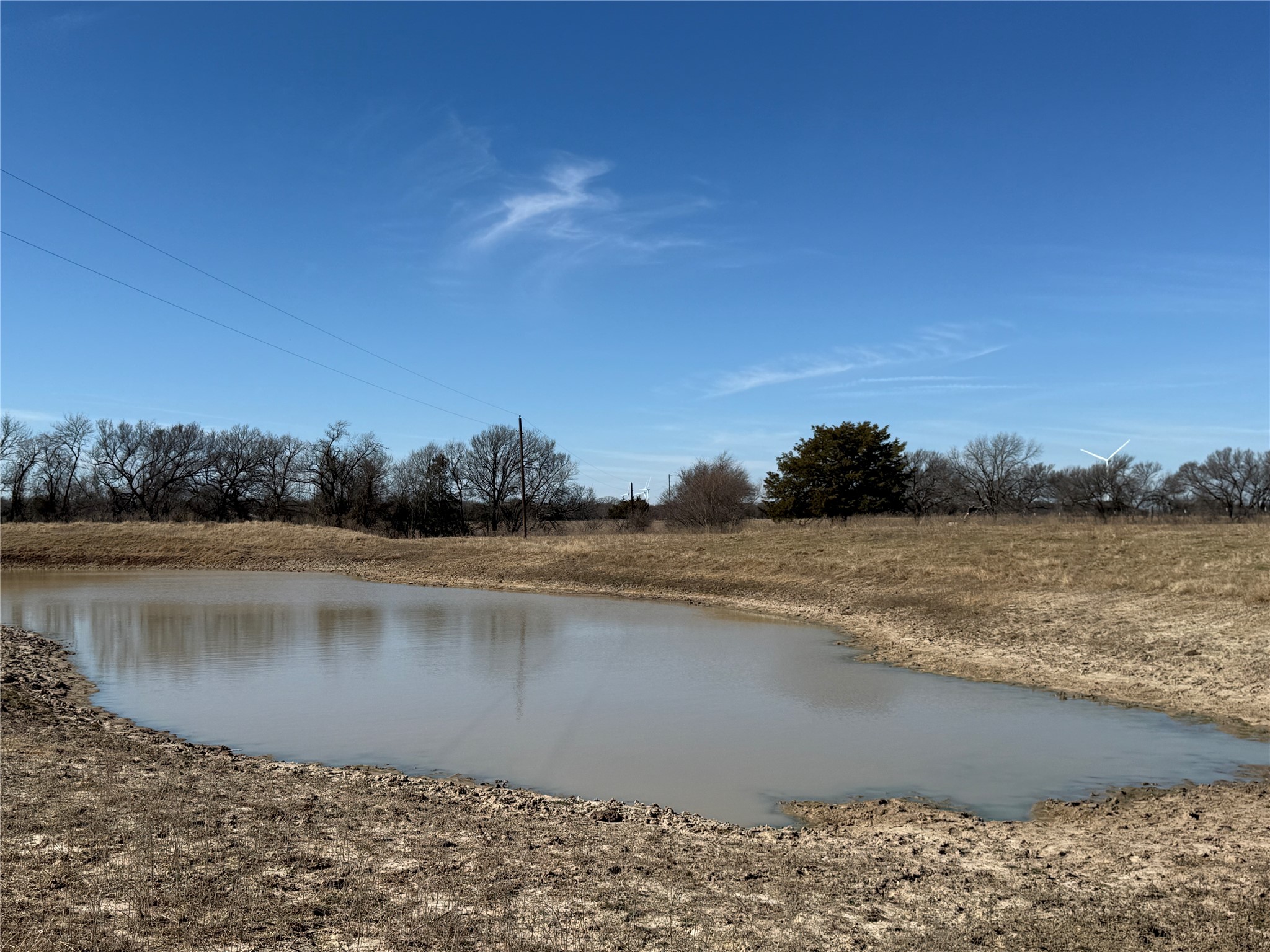 12335A County Road 4230 Purdon TX 76679