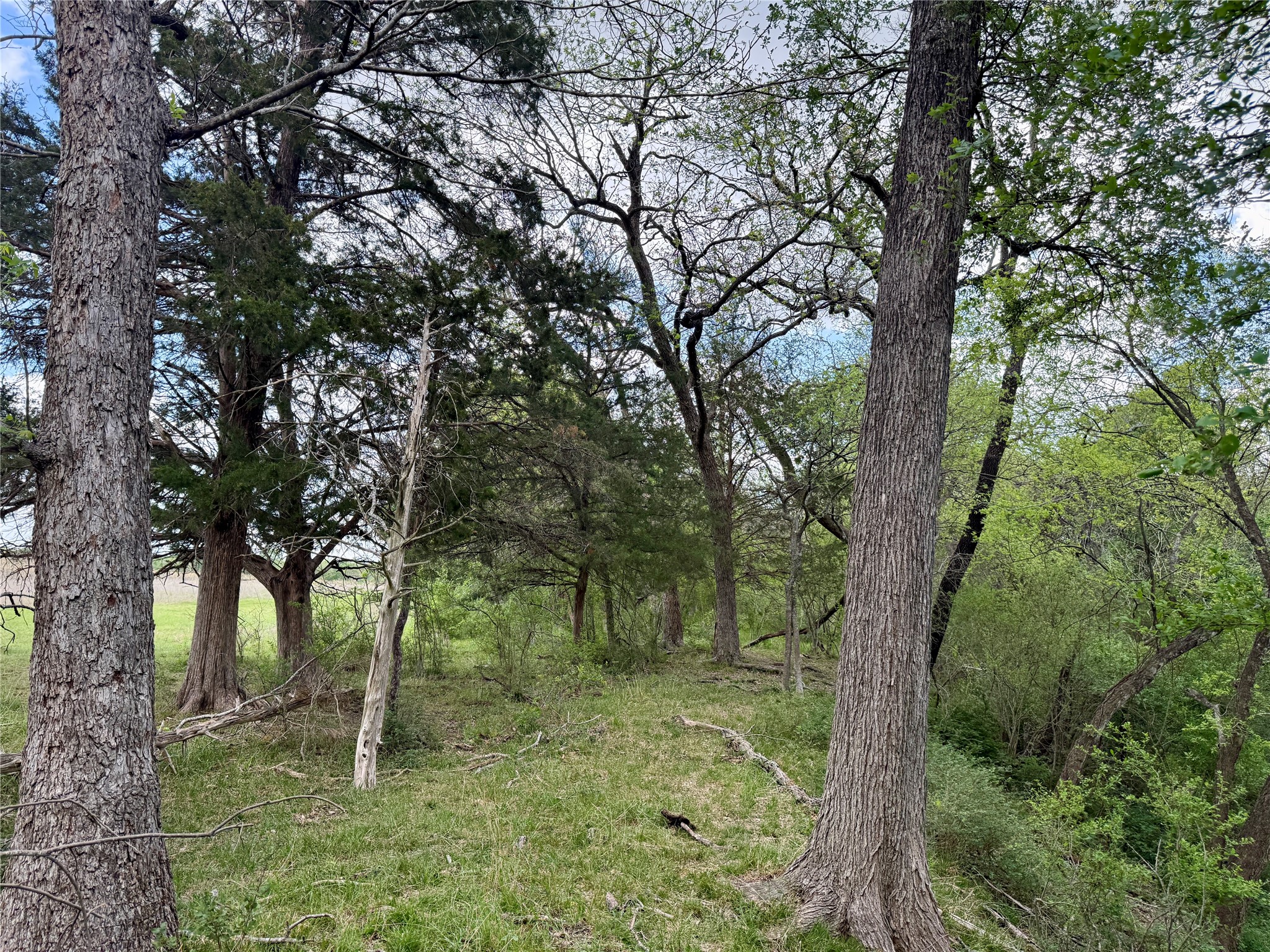 12335A County Road 4230 Purdon TX 76679