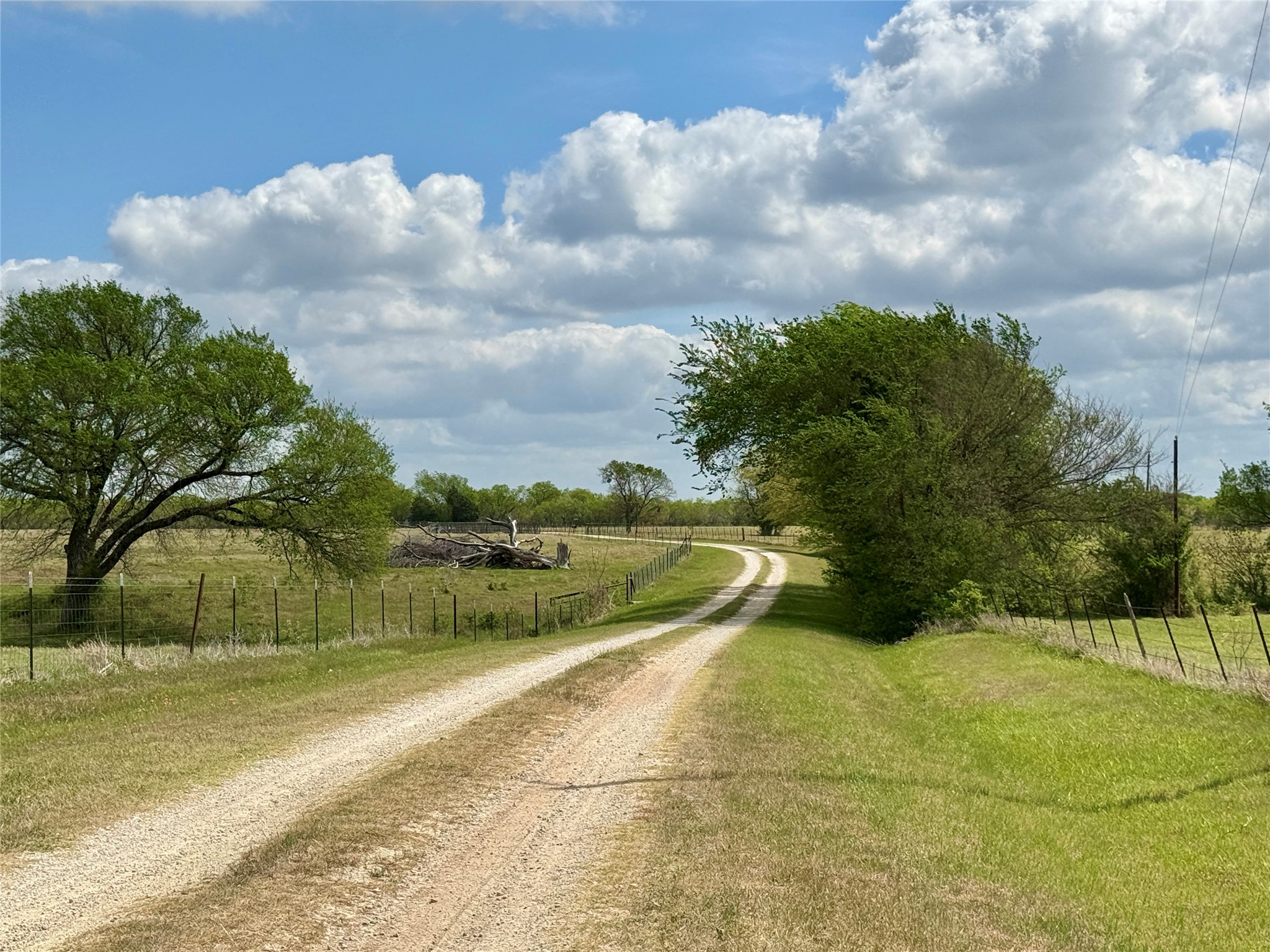 12335A County Road 4230 Purdon TX 76679