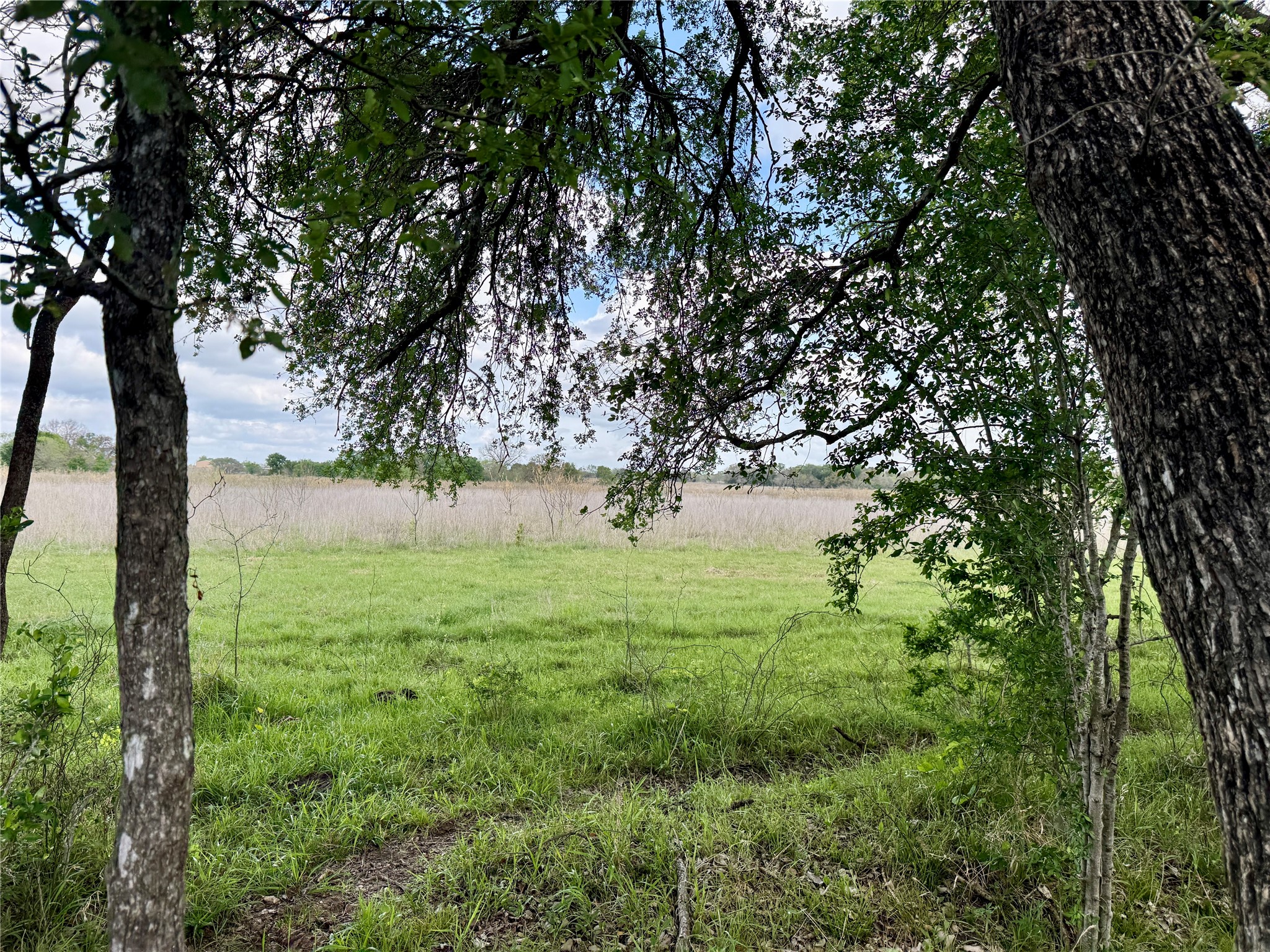 12335A County Road 4230 Purdon TX 76679