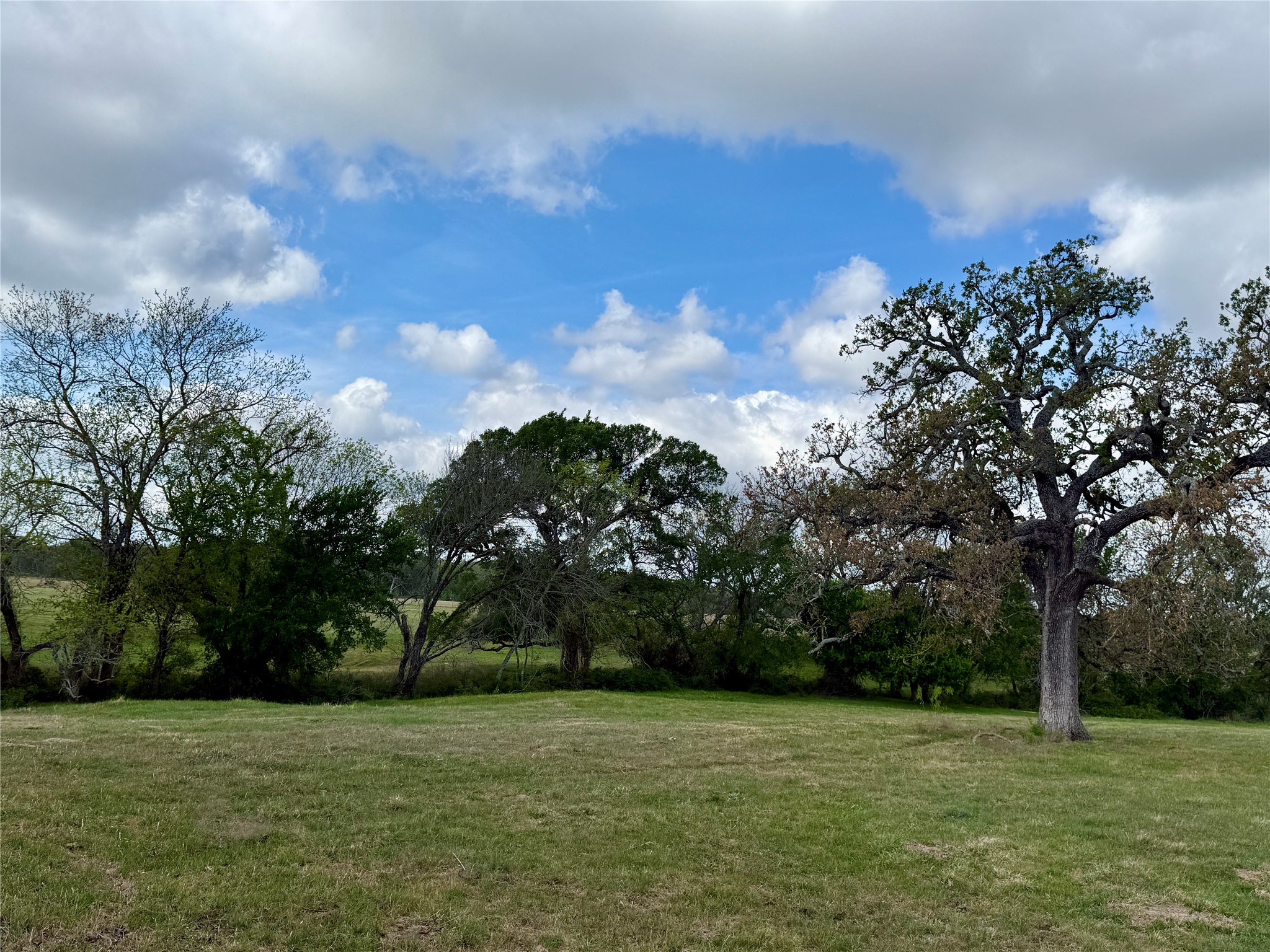 12335A County Road 4230 Purdon TX 76679