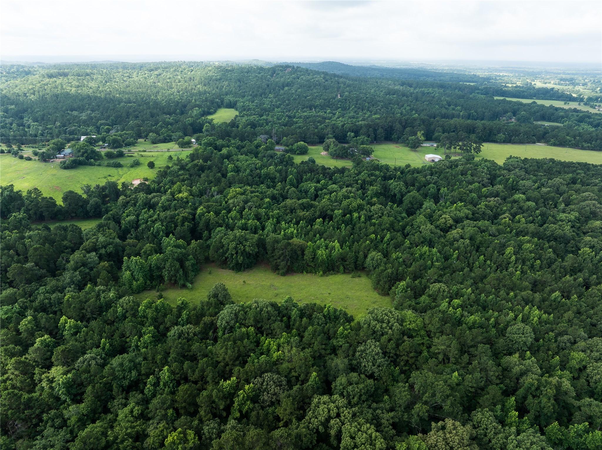 519 An County Road 450 Palestine TX 75803