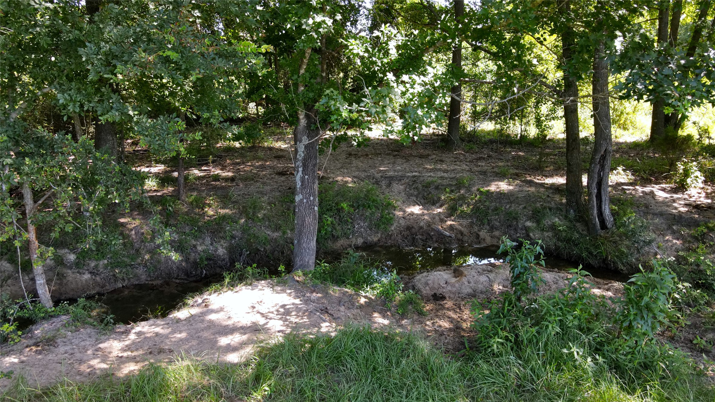 10142 Fm 773 Murchison TX 75778