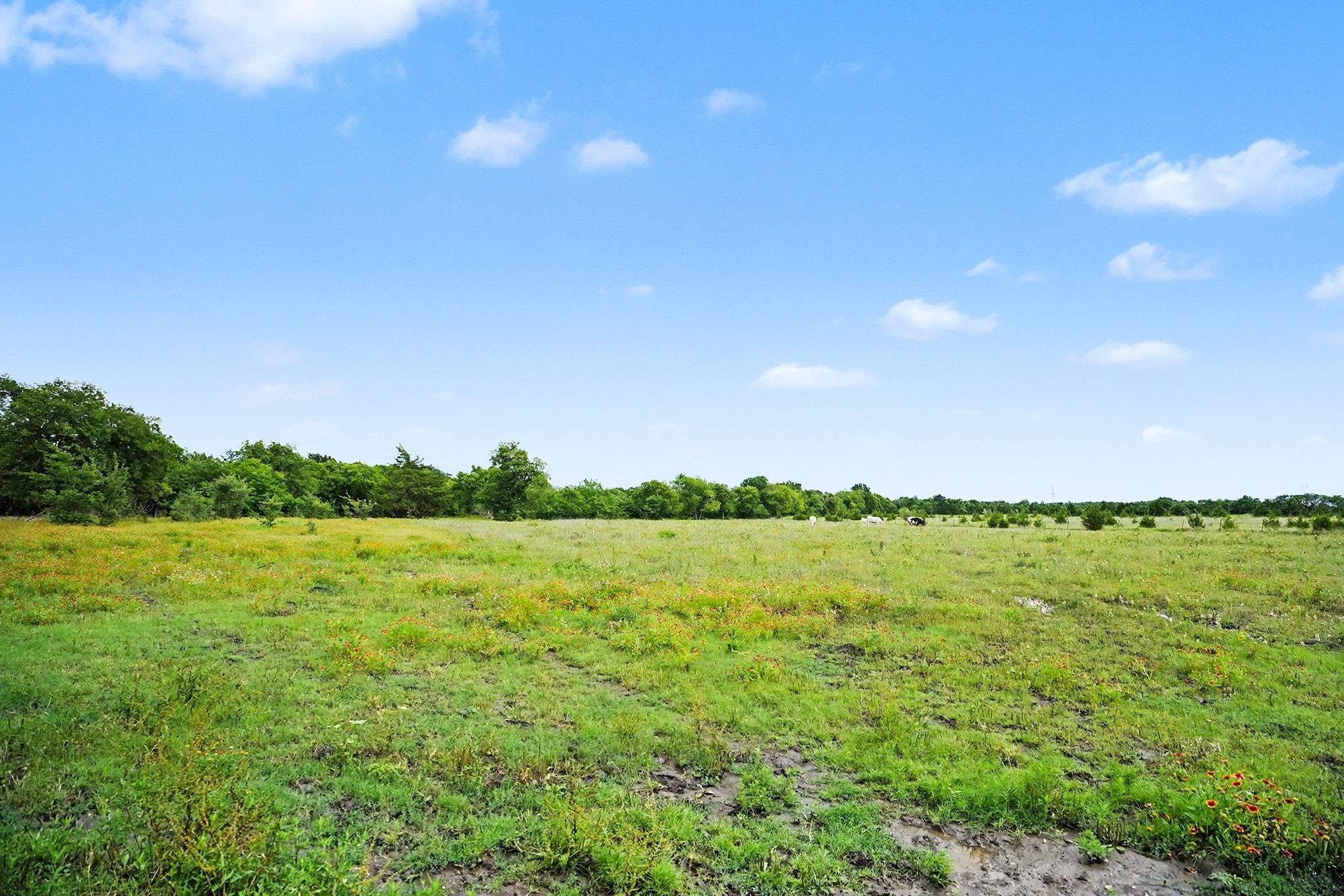 1712 Wilson Road Waxahachie TX 75165