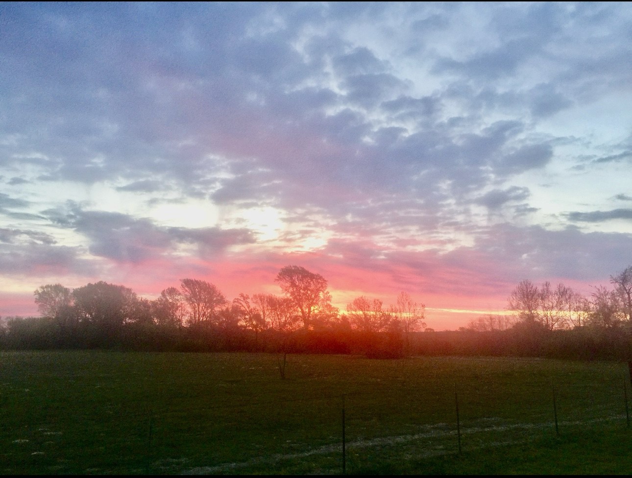 200 Vz County Road 4124 Canton TX 75103