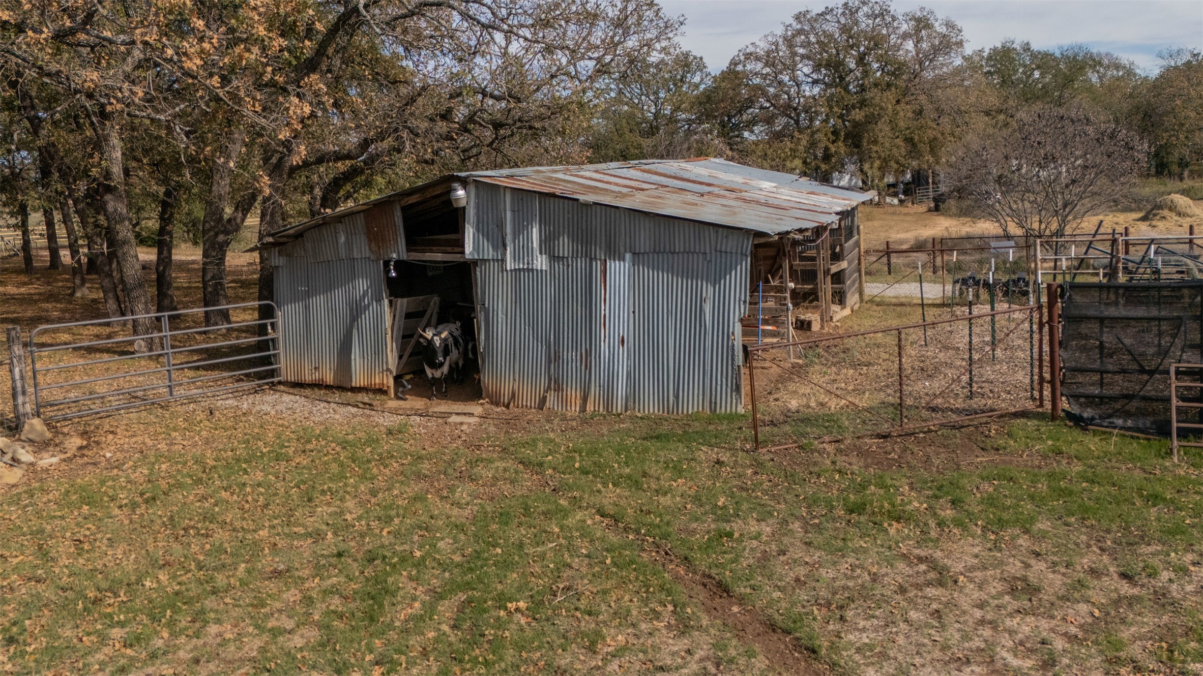 218 Private Road 3638 Springtown TX 76082