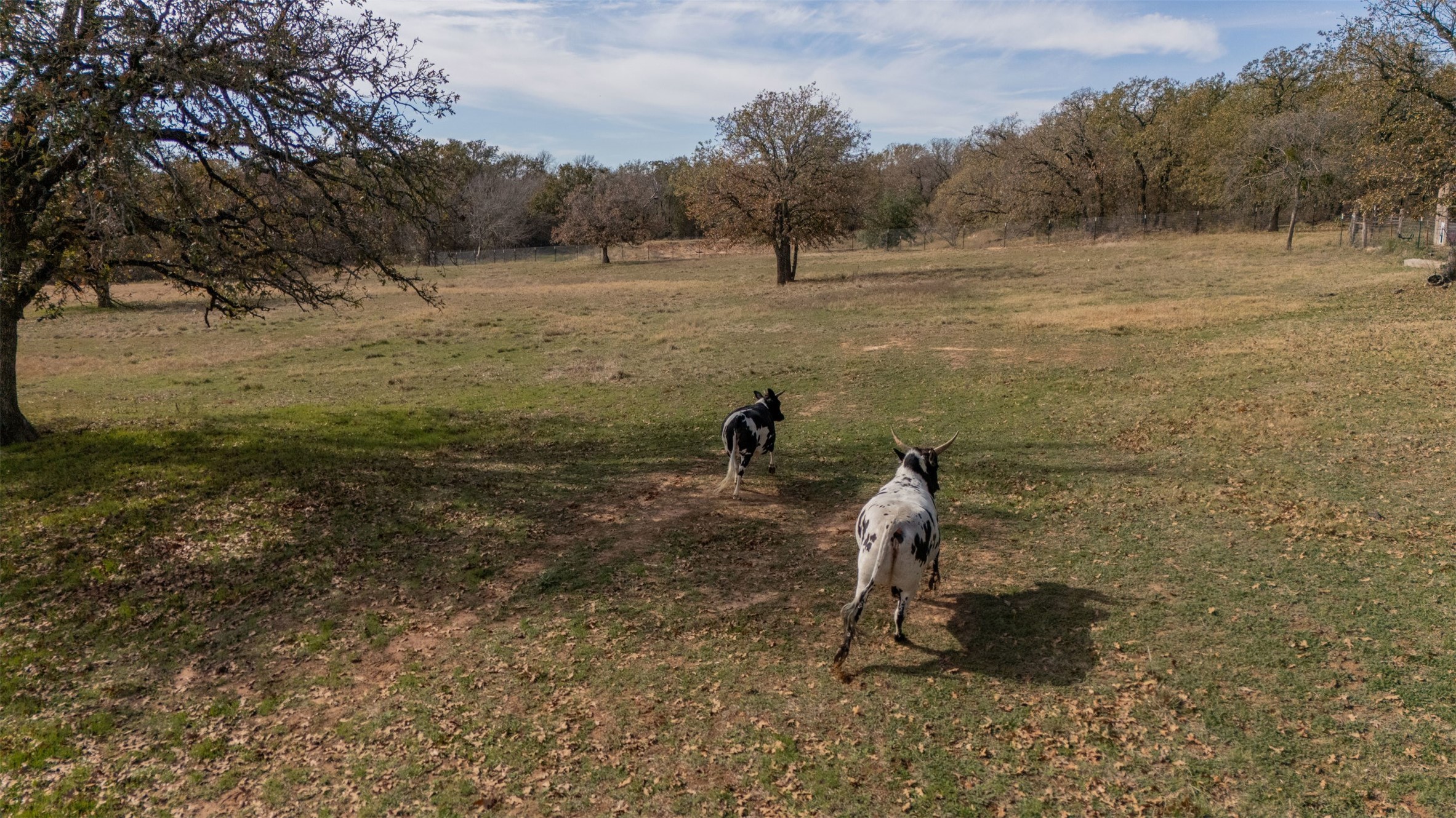 218 Private Road 3638 Springtown TX 76082