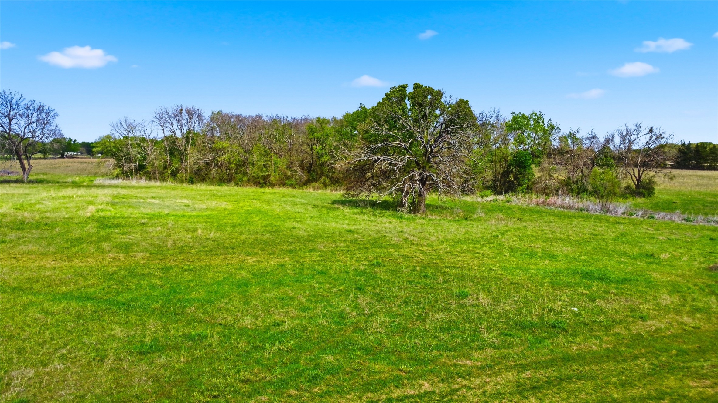 557 Fm 196 Pattonville TX 75468