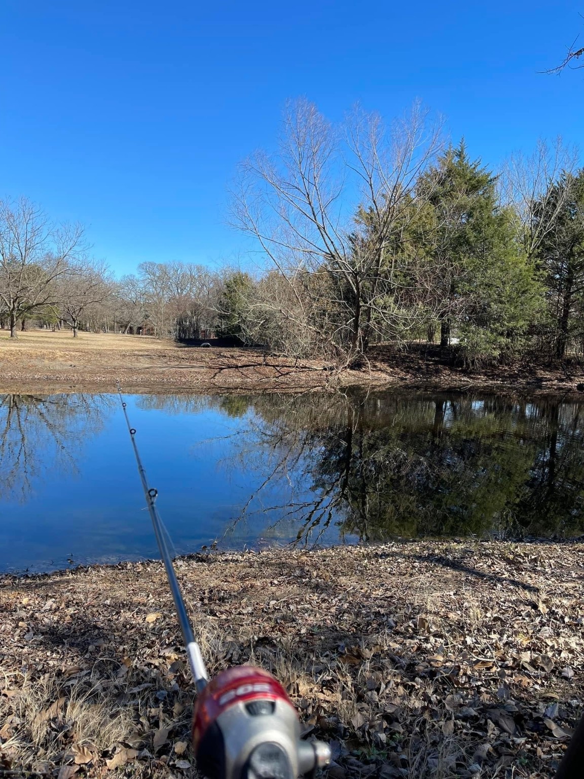 623 Rs County Road 1250 Emory TX 75440