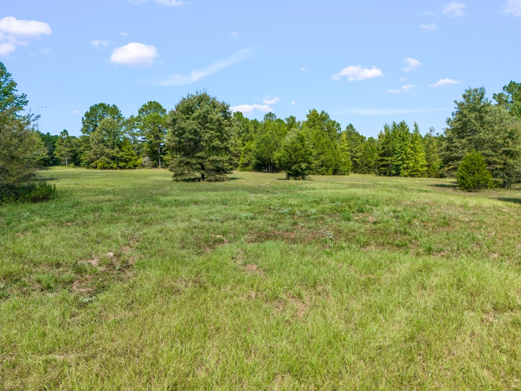 130 & 154 Pr 3331 Big Sandy TX 75755