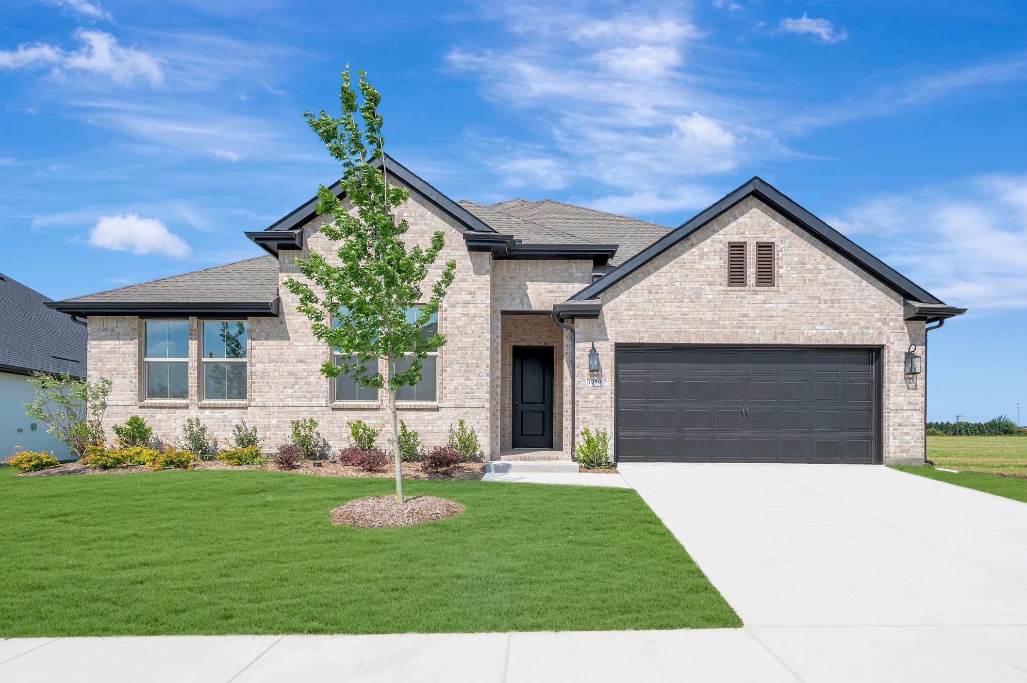 1259 Umber Willow Drive Lavon TX 75166