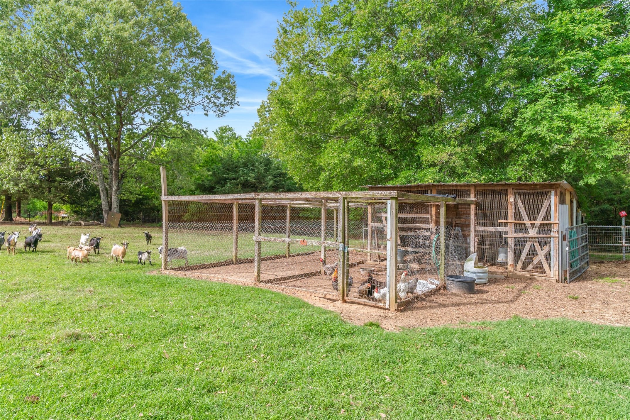 630 Vz County Road 1909 Edgewood TX 75117
