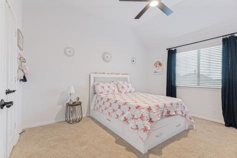 9165 Rock Nettle Drive Fort Worth TX 76131