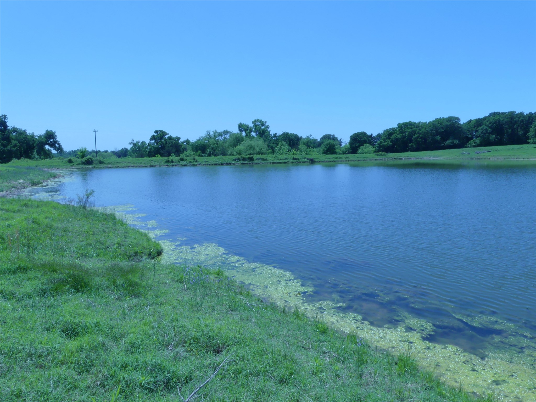 3421 School House Road Forestburg TX 76239