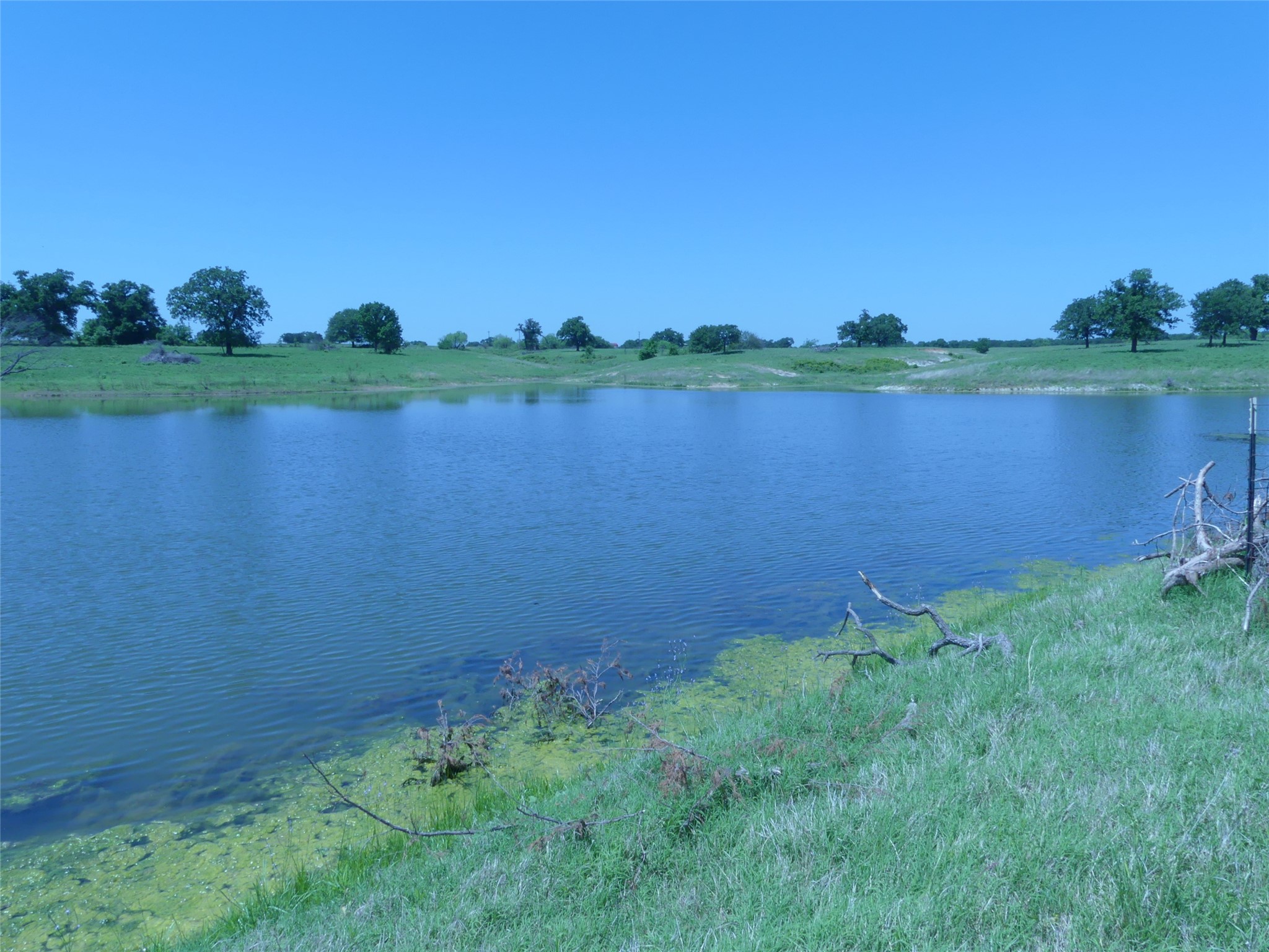 3421 School House Road Forestburg TX 76239