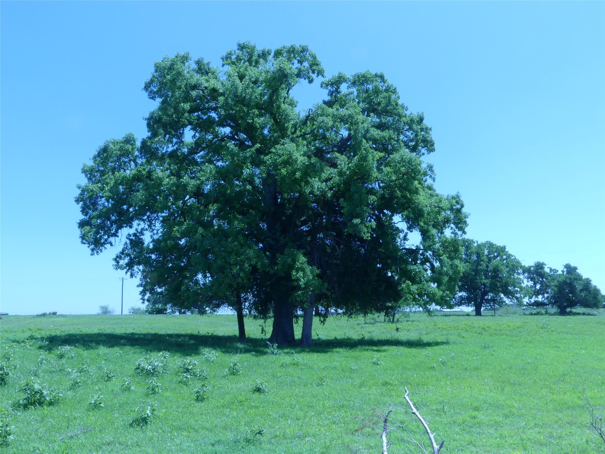 3421 School House Road Forestburg TX 76239